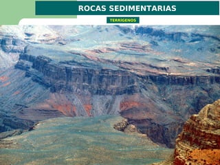 ROCAS SEDIMENTARIAS
      TERRÍGENOS
 
