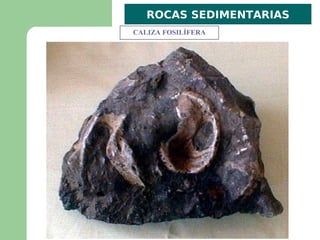 ROCAS SEDIMENTARIAS
CALIZA FOSILÍFERA
 