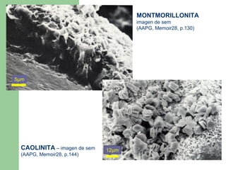 MONTMORILLONITA
                                    imagen de sem
                                    (AAPG, Memoir28, p.130)




5µm




 CAOLINITA – imagen de sem   12µm
 (AAPG, Memoir28, p.144)
 