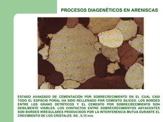 PROCESOS DIAGENÉTICOS EN ARENISCAS




ESTADO AVANZADO DE CEMENTACIÓN POR SOBRECRECIMIENTO EN EL CUAL CASI
TODO EL ESPACIO PORAL HA SIDO RELLENADO POR CEMENTO SILICEO. LOS BORDES
ENTRE LOS GRANO DETRÍTICOS Y EL CEMENTO POR SOBRECRECIMIENTO SON
DEBILMENTE VISIBLES. LOS CONTACTOS ENTRE SOBRECRECIMIENTOS ADYACENTES
SON BORDES IRREGULARES PRODUCIDOS POR LA INTERFERENCIA MUTUA DURANTE EL
CRECIMIENTO DE LOS CRISTALES. NX , 0,15 mm
 