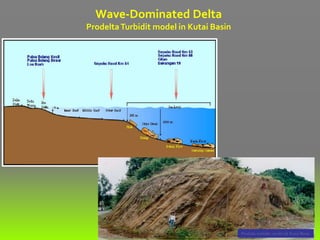Prodelta turbidite model @ Kutei Basin
Wave-Dominated Delta
ProdeltaTurbidit model in Kutai Basin
 