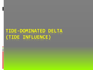 TIDE-DOMINATED DELTA
(TIDE INFLUENCE)
 