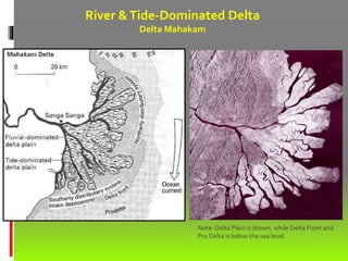 River &Tide-Dominated Delta
Delta Mahakam
Note: Delta Plain is shown, while Delta Front and
Pro Delta is below the sea level.
 