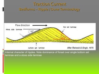 Traction Current
Bedforms – Ripple / DuneTerminology
Flow direction
Internal character of ripples. Note dominance of forset over single bottom set
laminae and a stoss side laminae
15o
34o
 