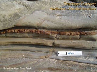 Traction Current
Bedforms – Parallel Structure
Bayah Formation, Cihara Beach
 