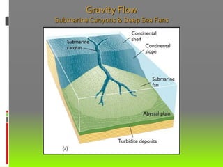 Gravity Flow
Submarine Canyons & Deep Sea Fans
 