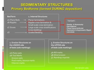 SEDIMENTARY STRUCTURES
Primary Bedforms (formed DURING deposition)
2A-Flute casts
2B-Tool Marks
Groove casts
Prod marks, bounce marks
Chevron marks
2. Erosion Structures on
the UNDER side
of beds (sole markings)
3A-Rill marks
3B-Wind erosion
3C-Raindrop imprints
3. Erosion Structures on
the UPPER side
of beds (sole markings)
1A-Plane Beds
1B-Ripples
1C-Dunes
1D
Planar laminations
Ripples cross-lamination &
Small-scale cross-lamination
Large-scale cross-stratifications
(cross bedding)
Graded Bedding
1. Internal Structures
After Bjorlykke (1984)
• Swaley & Hummocky
• Herringbone
• Flaser-wavy-lenticular
• Symmetric & Asymmetric Ripple
• convolute
Variant :
Bed form
 