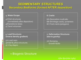 SEDIMENTARY STRUCTURES
Secondary Bedforms (formed AFTER deposition)
4A Dish structures
(immediately after deposition)
4B Sandstone dykes
4C Sand volcanoes
4. Water Escape
6A-Dessication mudcraks
6B-Shrinkage cracks, synaeresis
6C-Frost cracks (polygons)
6. Cracks
7A-Slumping
Growth faults
7. Deformation Structures
(due to gravity)
5A-Load casts
5B-Ball & pillow structures
5C-Clay diapirs
5. Load Structures
(inverse density gradient)
After Bjorlykke (1984)
+ Biogenic Structure
 