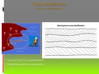 Cross Stratification
Variant 2: Herringbone
‘Tide in’ and ‘Tide out’ are in opposite direction
Wave & beach profile are in upright position
 