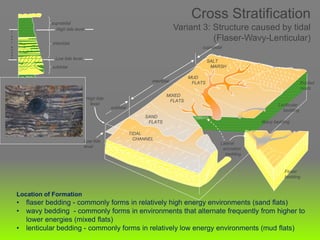Location of Formation
• flaser bedding - commonly forms in relatively high energy environments (sand flats)
• wavy bedding - commonly forms in environments that alternate frequently from higher to
lower energies (mixed flats)
• lenticular bedding - commonly forms in relatively low energy environments (mud flats)
Cross Stratification
Variant 3: Structure caused by tidal
(Flaser-Wavy-Lenticular)
subtidal
Low tide level
intertidal
High tide level
supratidal
T
I
D
A
L
R
A
N
G
E
TIDAL
CHANNEL
SAND
FLATS
MIXED
FLATS
MUD
FLATS
SALT
MARSH
Lenticular
bedding
subtidal
Wavy bedding
Roofed
muds
Fioser
bedding
Lateral
accretion
bedding
Low tide
level
High tide
level
intertidal
supratidal
 