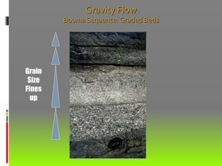 Grain
Size
Fines
up
Gravity Flow
Bouma Sequence: Graded Beds
 
