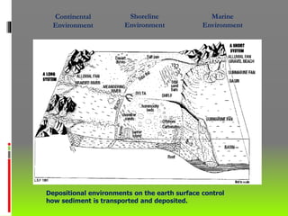 Depositional environments on the earth surface control
how sediment is transported and deposited.
Continental
Environment
Shoreline
Environment
Marine
Environment
 