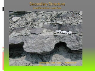 Carbonate Load Cast – Ordovician -
Kty
Secondary Structure
Load Structure: Load Cast
 