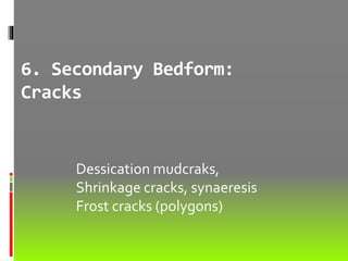 6. Secondary Bedform:
Cracks
Dessication mudcraks,
Shrinkage cracks, synaeresis
Frost cracks (polygons)
 