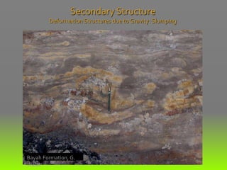 Secondary Structure
Deformation Structures due to Gravity: Slumping
Bayah Formation, G.
Walat
 