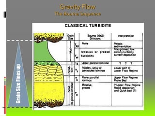 GrainSizeFinesup
Gravity Flow
The Bouma Sequence
 