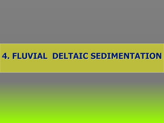 4. FLUVIAL DELTAIC SEDIMENTATION
 