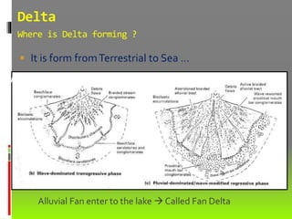  It is form fromTerrestrial to Sea …
Delta
Where is Delta forming ?
Alluvial Fan enter to the lake  Called Fan Delta
Fan Delta (delta on terrestrial)
 