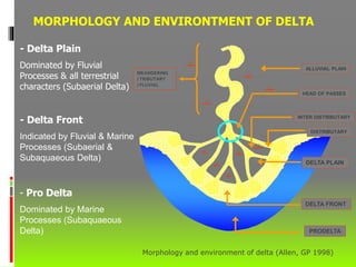 MORPHOLOGY AND ENVIRONTMENT OF DELTA
Morphology and environment of delta (Allen, GP 1998)
- Delta Plain
Dominated by Fluvial
Processes & all terrestrial
characters (Subaerial Delta)
- Delta Front
Indicated by Fluvial & Marine
Processes (Subaerial &
Subaquaeous Delta)
- Pro Delta
Dominated by Marine
Processes (Subaquaeous
Delta)
MEANDERING
/ TRIBUTARY
/ FLUVIAL
DELTA PLAIN
ALLUVIAL PLAIN
DISTRIBUTARY
PRODELTA
DELTA FRONT
INTER DISTRIBUTARY
HEAD OF PASSES
 