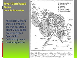 Mississippi Delta 
crevasse onto the
sea (not onto flood
plain)  also called
Crevasse Delta /
Splay Delta
(indicate by many
marine organism)
River-Dominated
Delta
Inter-distributary Bay
 