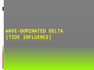 WAVE-DOMINATED DELTA
(TIDE INFLUENCE)
 