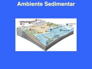 Ambiente Sedimentar
 