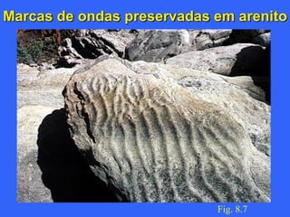 Marcas de ondas preservadas em arenito
Fig. 8.7
 