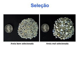 Seleção
Areia bem selecionada Areia mal selecionada
 