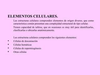 ELEMENTOS CELULARES.
Las estructuras celulares comprenden elementos de origen diverso, que como
característica común presentan una complejidad estructural de tipo celular.
Tienen capacidad de teñirse, que en ocasiones es muy útil para identificarlas,
clasificarlas o ubicarlas anatómicamente.






Las estructuras celulares comprenden los siguientes elementos:
Células de descamación
Células hemáticas
Células de espermiogénesis
Otras células

 