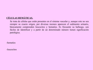 CÉLULAS HEMÁTICAS.
Se trata de células que están presentes en el sistema vascular y, aunque este no sea
siempre su exacto origen, por diversas razones aparecen el sedimento urinario,
básicamente comprenden leucocitos y hematíes. Es frecuente su hallazgo, son
fáciles de identificar y a partir de un determinado número tienen significación
patológica.

-hematíes
-leucocitos

 