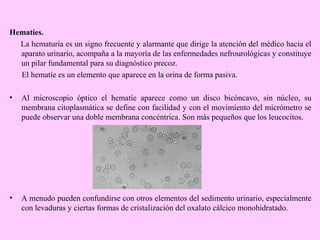 Hematíes.
La hematuria es un signo frecuente y alarmante que dirige la atención del médico hacia el
aparato urinario, acompaña a la mayoría de las enfermedades nefrourológicas y constituye
un pilar fundamental para su diagnóstico precoz.
El hematíe es un elemento que aparece en la orina de forma pasiva.
•

Al microscopio óptico el hematíe aparece como un disco bicóncavo, sin núcleo, su
membrana citoplasmática se define con facilidad y con el movimiento del micrómetro se
puede observar una doble membrana concéntrica. Son más pequeños que los leucocitos.

•

A menudo pueden confundirse con otros elementos del sedimento urinario, especialmente
con levaduras y ciertas formas de cristalización del oxalato cálcico monohidratado.

 