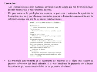 Leucocitos.
Los leucocitos son células nucleadas circulantes en la sangre que por diversos motivos
pueden pasar activa o pasivamente a la orina.
• Un gran número de patologías son capaces de provocar o estimular la aparición de
leucocitos en orina y por ello no es razonable asociar la leucocituria como sinónimo de
infección, aunque sea una de las causas más habituales.

•

La presencia concomitante en el sedimento de bacterias es el signo mas seguro de
proceso infeccioso del árbol urinario, si a esto añadimos la presencia de cilindros
leucocitarios y/o bacterianos se habla de un proceso a nivel renal.

 