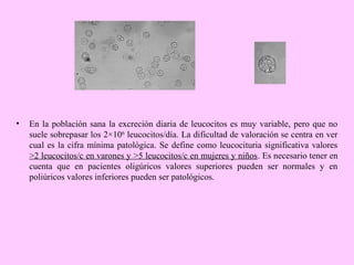 •

En la población sana la excreción diaria de leucocitos es muy variable, pero que no
suele sobrepasar los 2×106 leucocitos/día. La dificultad de valoración se centra en ver
cual es la cifra mínima patológica. Se define como leucocituria significativa valores
>2 leucocitos/c en varones y >5 leucocitos/c en mujeres y niños. Es necesario tener en
cuenta que en pacientes oligúricos valores superiores pueden ser normales y en
poliúricos valores inferiores pueden ser patológicos.

 