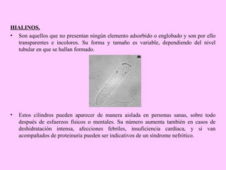HIALINOS.
• Son aquellos que no presentan ningún elemento adsorbido o englobado y son por ello
transparentes e incoloros. Su forma y tamaño es variable, dependiendo del nivel
tubular en que se hallan formado.

•

Estos cilindros pueden aparecer de manera aislada en personas sanas, sobre todo
después de esfuerzos físicos o mentales. Su número aumenta también en casos de
deshidratación intensa, afecciones febriles, insuficiencia cardíaca, y si van
acompañados de proteinuria pueden ser indicativos de un síndrome nefrótico.

 