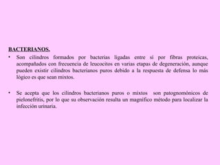 BACTERIANOS.
• Son cilindros formados por bacterias ligadas entre sí por fibras proteicas,
acompañados con frecuencia de leucocitos en varias etapas de degeneración, aunque
pueden existir cilindros bacterianos puros debido a la respuesta de defensa lo más
lógico es que sean mixtos.
•

Se acepta que los cilindros bacterianos puros o mixtos son patognomónicos de
pielonefritis, por lo que su observación resulta un magnífico método para localizar la
infección urinaria.

 