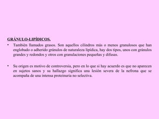GRÁNULO-LIPÍDICOS.
• También llamados grasos. Son aquellos cilindros más o menos granulosos que han
englobado o adherido gránulos de naturaleza lipídica, hay dos tipos, unos con gránulos
grandes y redondos y otros con granulaciones pequeñas y difusas.
•

Su origen es motivo de controversia, pero en lo que si hay acuerdo es que no aparecen
en sujetos sanos y su hallazgo significa una lesión severa de la nefrona que se
acompaña de una intensa proteinuria no selectiva.

 