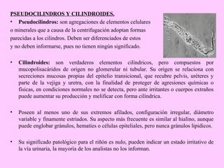 PSEUDOCILINDROS Y CILINDROIDES.
• Pseudocilindros: son agregaciones de elementos celulares
o minerales que a causa de la centrifugación adoptan formas
parecidas a los cilindros. Deben ser diferenciados de estos
y no deben informarse, pues no tienen ningún significado.
•

Cilindroides: son verdaderos elementos cilíndricos, pero compuestos por
mucopolisacáridos de origen no glomerular ni tubular. Su origen se relaciona con
secreciones mucosas propias del epitelio transicional, que recubre pelvis, uréteres y
parte de la vejiga y uretra, con la finalidad de proteger de agresiones químicas o
físicas, en condiciones normales no se detecta, pero ante irritantes o cuerpos extraños
puede aumentar su producción y melificar con forma cilíndrica.

•

Poseen al menos uno de sus extremos afilados, configuración irregular, diámetro
variable y finamente estriados. Su aspecto más frecuente es similar al hialino, aunque
puede englobar gránulos, hematíes o células epiteliales, pero nunca gránulos lipidicos.

•

Su significado patológico para el riñón es nulo, pueden indicar un estado irritativo de
la vía urinaria, la mayoría de los analistas no los informan.

 