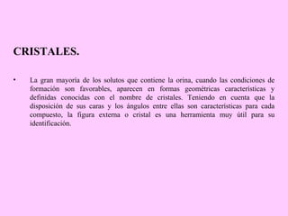 CRISTALES.
•

La gran mayoría de los solutos que contiene la orina, cuando las condiciones de
formación son favorables, aparecen en formas geométricas características y
definidas conocidas con el nombre de cristales. Teniendo en cuenta que la
disposición de sus caras y los ángulos entre ellas son características para cada
compuesto, la figura externa o cristal es una herramienta muy útil para su
identificación.

 