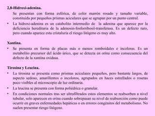 2,8-Hidroxi-adenina.
Se presentan con forma esférica, de color marrón rosado y tamaño variable,
constituida por pequeños prismas aciculares que se agrupan por un punto central.
• La hidroxi-adenina es un catabolito intermedio de la adenina que aparece por la
deficiencia hereditaria de la adenosin-fosforribosil-transferasa. Es un defecto raro,
pero cuando aparece esta cristaluria el riesgo litógeno es muy alto.
Xantina.
• Se presenta en forma de placas más o menos romboidales e incoloras. Es un
metabolito precursor del ácido úrico, que se detecta en orina como consecuencia del
defecto de la xantina oxidasa.
Tirosina y Leucina.
• La tirosina se presenta como prismas aciculares pequeños, pero bastante largos, de
aspecto sedoso, amarillentos o incoloros, agrupados en haces estrellados o rosetas
poco visibles al microscopio de luz ordinaria.
• La leucina se presenta con forma poliédrica o granular.
• En condiciones normales tras ser ultrafiltrados estos elementos se reabsorben a nivel
tubular, solo aparecen en orina cuando sobrepasan su nivel de reabsorción como puede
ocurrir en graves enfermedades hepáticas o en errores congénitos del metabolismo. No
suelen presentar riesgo litógeno.

 