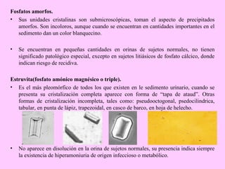 Fosfatos amorfos.
• Sus unidades cristalinas son submicroscópicas, toman el aspecto de precipitados
amorfos. Son incoloros, aunque cuando se encuentran en cantidades importantes en el
sedimento dan un color blanquecino.
•

Se encuentran en pequeñas cantidades en orinas de sujetos normales, no tienen
significado patológico especial, excepto en sujetos litiásicos de fosfato cálcico, donde
indican riesgo de recidiva.

Estruvita(fosfato amónico magnésico o triple).
• Es el más pleomórfico de todos los que existen en le sedimento urinario, cuando se
presenta su cristalización completa aparece con forma de “tapa de ataud”. Otras
formas de cristalización incompleta, tales como: pseudooctogonal, psedocilindrica,
tabular, en punta de lápiz, trapezoidal, en casco de barco, en hoja de helecho.

•

No aparece en disolución en la orina de sujetos normales, su presencia indica siempre
la existencia de hiperamoniuria de origen infeccioso o metabólico.

 