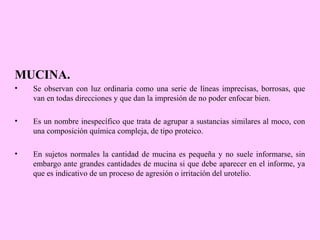 MUCINA.
•

Se observan con luz ordinaria como una serie de líneas imprecisas, borrosas, que
van en todas direcciones y que dan la impresión de no poder enfocar bien.

•

Es un nombre inespecífico que trata de agrupar a sustancias similares al moco, con
una composición química compleja, de tipo proteico.

•

En sujetos normales la cantidad de mucina es pequeña y no suele informarse, sin
embargo ante grandes cantidades de mucina si que debe aparecer en el informe, ya
que es indicativo de un proceso de agresión o irritación del urotelio.

 