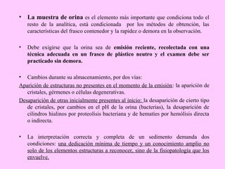 • La muestra de orina es el elemento más importante que condiciona todo el
resto de la analítica, está condicionada por los métodos de obtención, las
características del frasco contenedor y la rapidez o demora en la observación.
•

Debe exigirse que la orina sea de emisión reciente, recolectada con una
técnica adecuada en un frasco de plástico neutro y el examen debe ser
practicado sin demora.

•

Cambios durante su almacenamiento, por dos vías:
Aparición de estructuras no presentes en el momento de la emisión: la aparición de
cristales, gérmenes o células degenerativas.
Desaparición de otras inicialmente presentes al inicio: la desaparición de cierto tipo
de cristales, por cambios en el pH de la orina (bacterias), la desaparición de
cilindros hialinos por proteolisis bacteriana y de hematíes por hemólisis directa
o indirecta.
•

La interpretación correcta y completa de un sedimento demanda dos
condiciones: una dedicación mínima de tiempo y un conocimiento amplio no
solo de los elementos estructuras a reconocer, sino de la fisiopatología que los
envuelve.

 