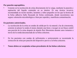 Por punción suprapúbica.
•
Consiste en la recolección de orina directamente de la vejiga, mediante la punción y
aspiración del líquido contenido en su interior. Es una técnica invasiva,
recomendada en recién nacidos, lactantes y niños pequeños en los que la técnica de
la bolsa adhesiva halla fracasado de forma continuada, donde necesitemos una
segura valoración microbiológica o bien por repetida y manifiesta contaminación.
En pacientes cateterizados.
•
La recolección de la orina en sondas de salida por la vía natural y las de cistostomía,
consiste en pinzar la sonda al menos durante una hora y recoger en un frasco estéril
una porción de la orina después de dejarla fluir libremente durante unos instantes a
través de la sonda desconectada de su bolsa colectora.
•

En los pacientes con sondas de nefrostomía o ureterostomía se recomienda la
extracción de orina por punción del dispositivo previo a la bolsa colectora.

•

Nunca deben ser aceptadas orinas procedentes de las bolsas colectoras

 