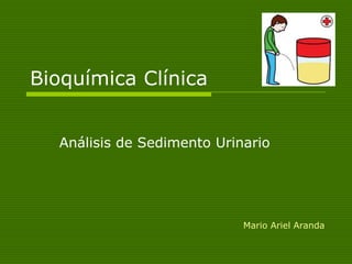 Bioquímica Clínica
Análisis de Sedimento Urinario
Mario Ariel Aranda
 