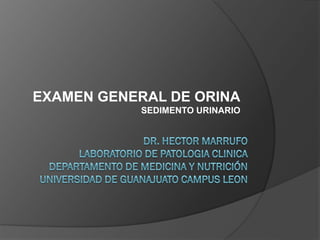 EXAMEN GENERAL DE ORINA
SEDIMENTO URINARIO
 