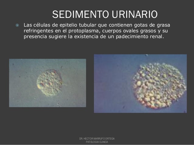 Imagen relacionada