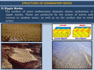 Undulation On Rocks Sedimentary Rocks | PPTX