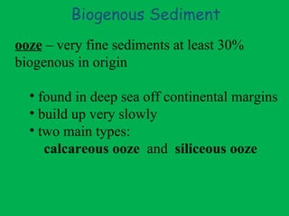 Biogenous Sediment ooze  – very fine sediments at least 30% biogenous in origin found in deep sea off continental margins build up very slowly two main types: calcareous ooze   and  siliceous ooze 