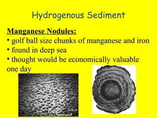 Hydrogenous Sediment Manganese Nodules: golf ball size chunks of manganese and iron found in deep sea thought would be economically valuable one day 