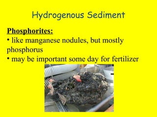 Hydrogenous Sediment Phosphorites: like manganese nodules, but mostly phosphorus may be important some day for fertilizer 